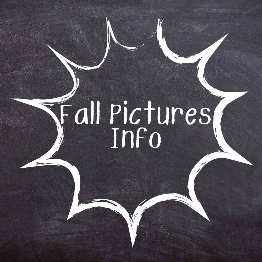Fall Pictures Info