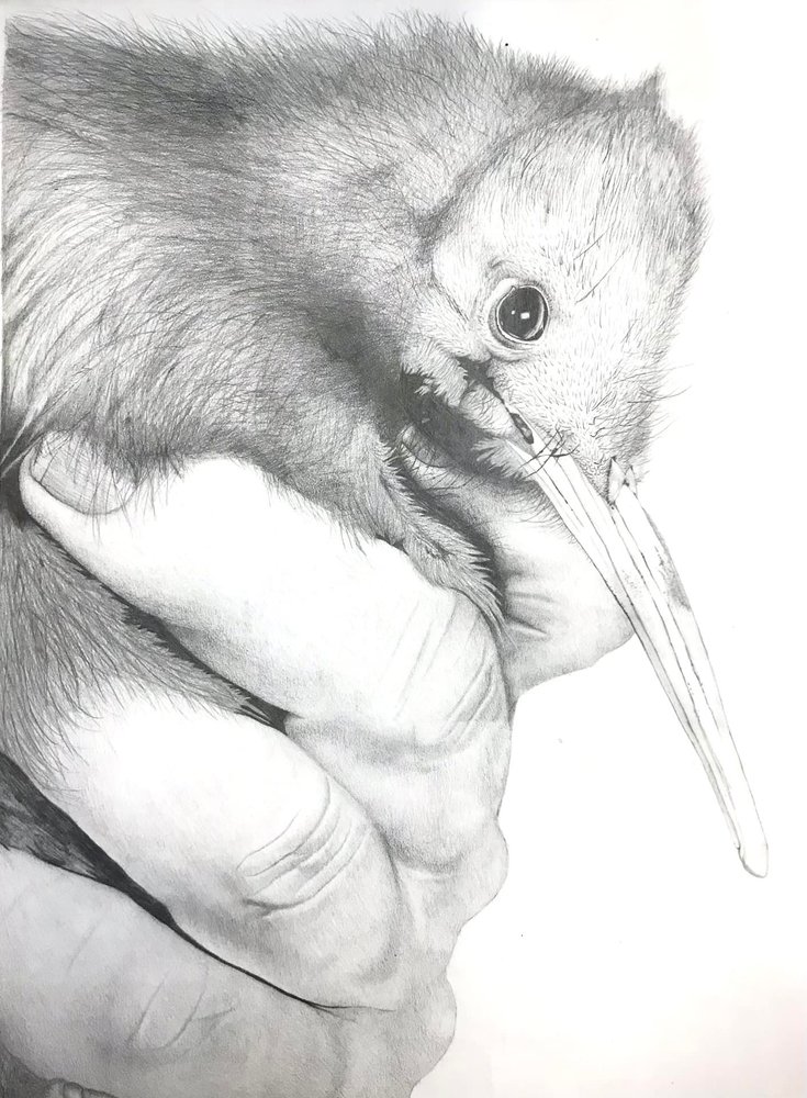 artwork of a bird