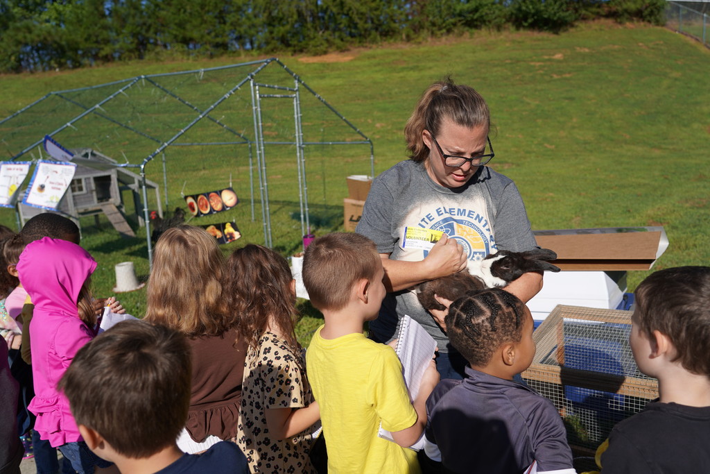 volunteer showing a rabbit to students